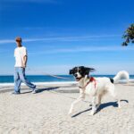 Segundo | Long Leash 2.0 - Image 2
